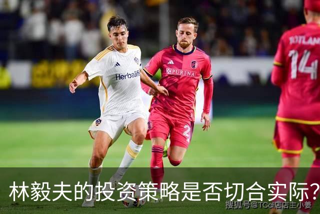 林毅夫的投资策略是否切合实际？